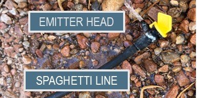 Spaghetti line and emitter head