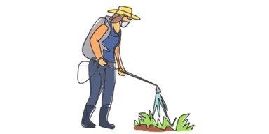 Spraying herbicide to weeds
